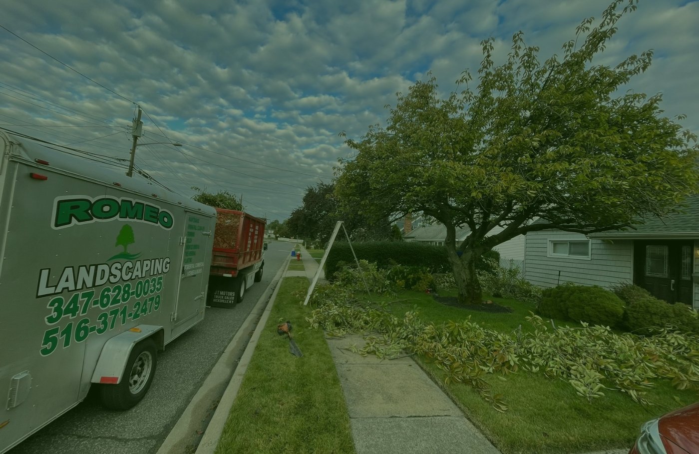 Tree Removal